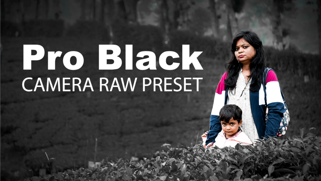 Free Camera RAW Premium Black Pre-set