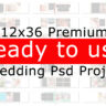 12x36 Premium Ready to use Wedding Album Psd Project